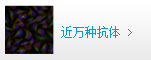 近萬種抗體